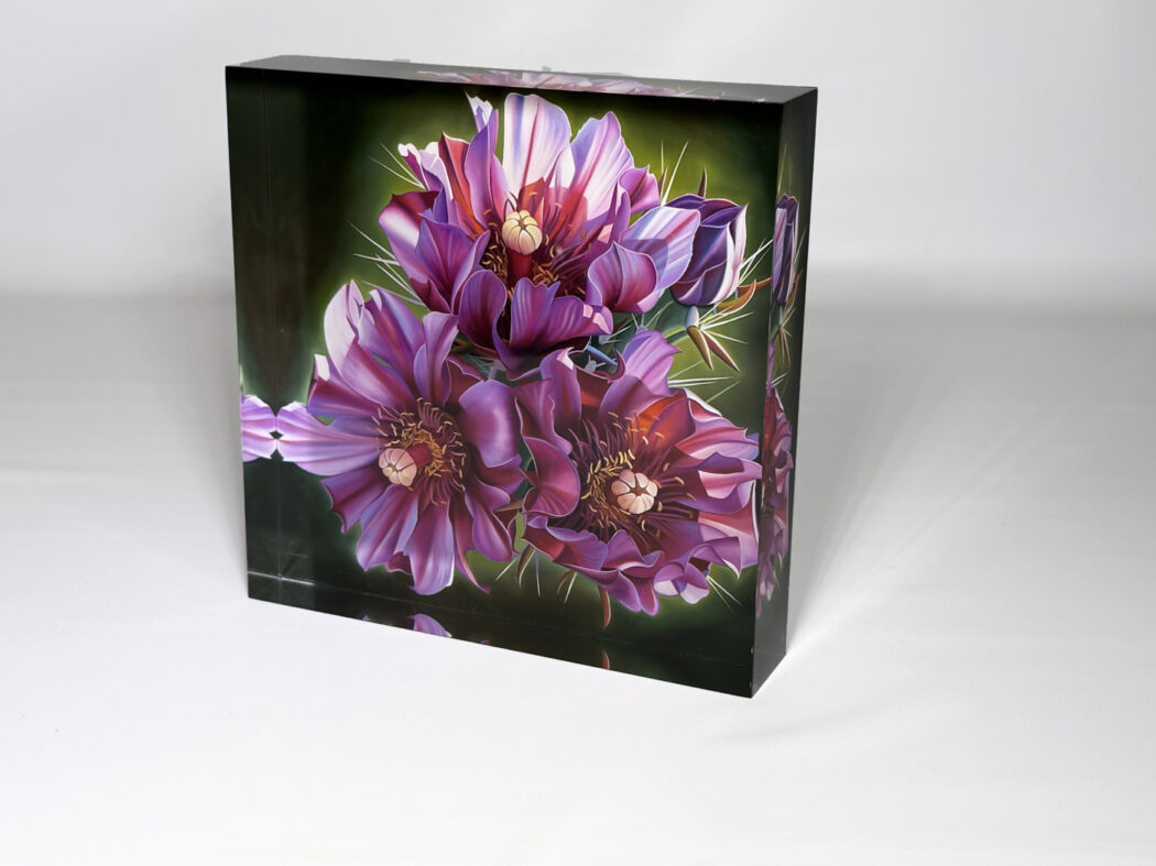 NEW RELEASE!- Arizona Elevations Art Blocks (SINGLES) - Image 2