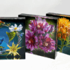NEW RELEASE!- Arizona Elevations Art Blocks Collection- 2025 - Image 5