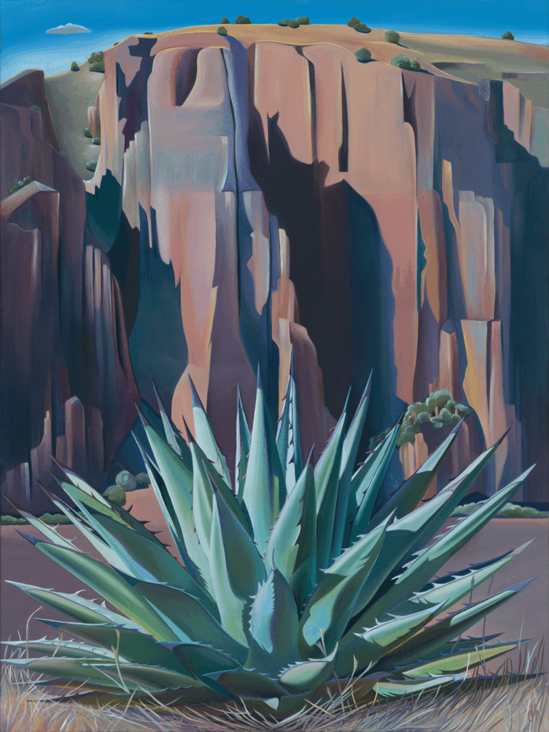 Agave Echo - Agave at Parker Creek, Sierra Ancha Wilderness 36x27