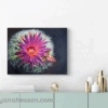 On the Ball - Spinystar Cactus, Hardscrabble Mesa, AZ RECENTLY SOLD - Image 2
