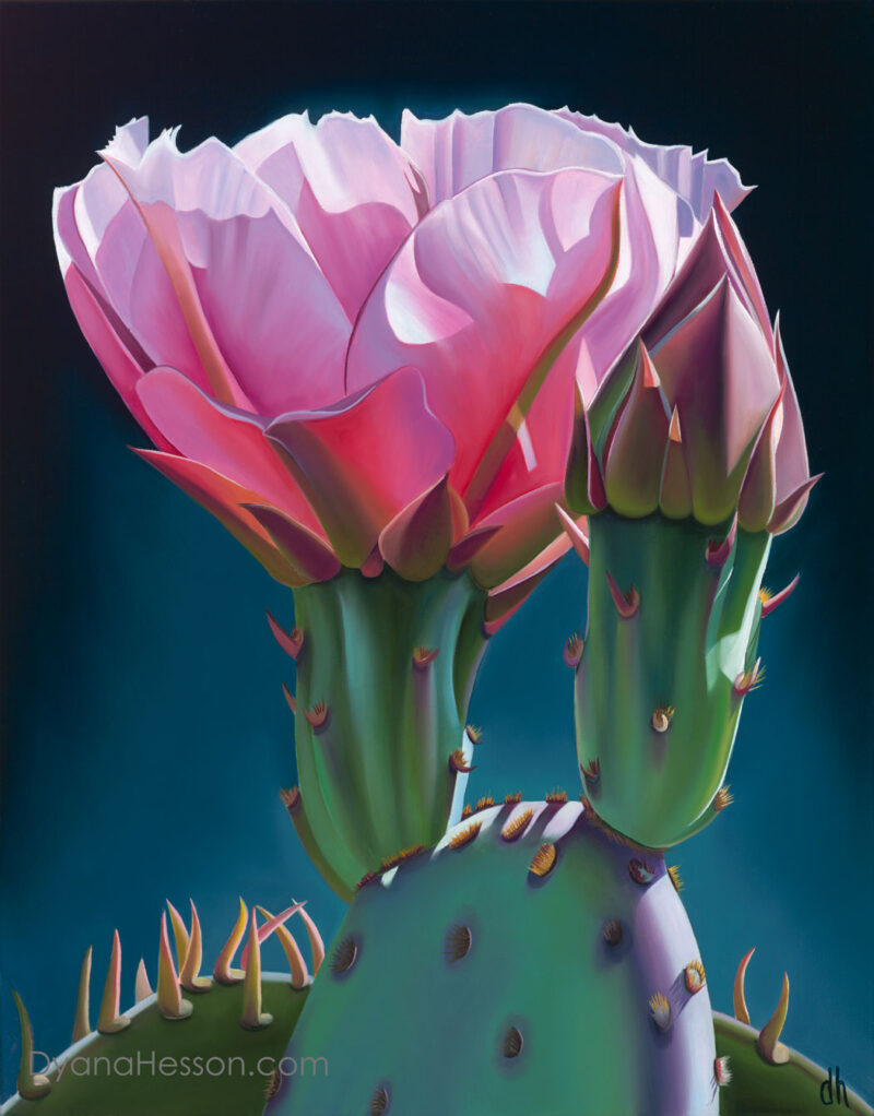 Arizona Birthday Candles - Beavertail Cactus Bloom and Bud, Lees Ferry, Arizona RECENTLY SOLD