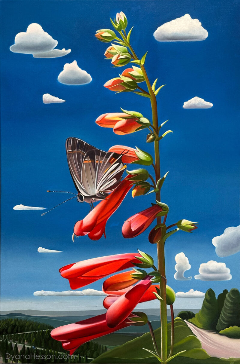 Arizona Firecrackers - Penstemon and Hairstreak Butterfly, Bill Williams Mountain, AZ