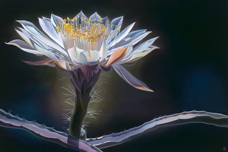 Royal Flush - Queen of the Night RECENTLY SOLD
