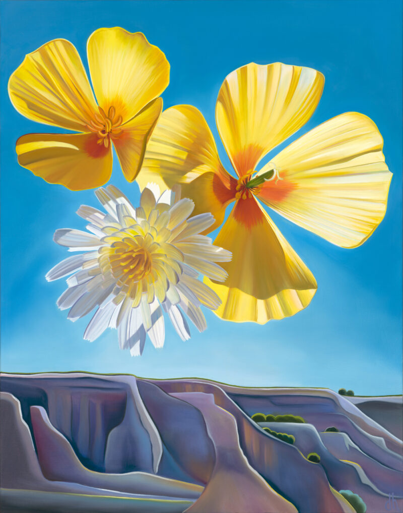 Arizona Pinwheels - Mexican Poppies and Desert Dandelion Near Tubac, AZ
