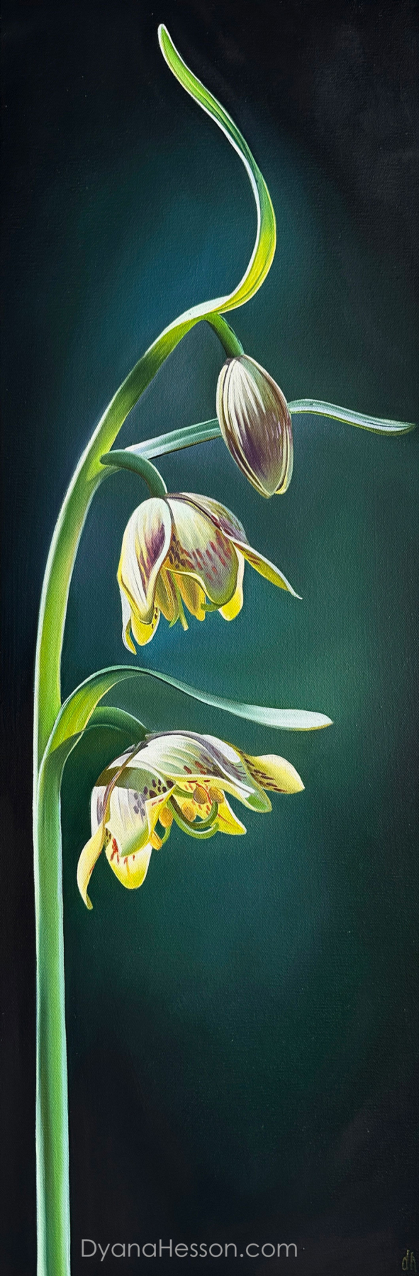 waterfall Dyana Hesson