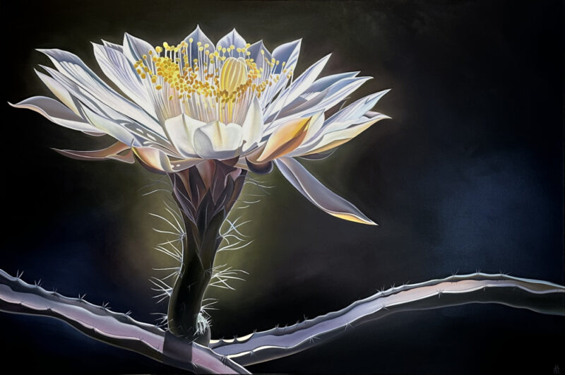 Royal Flush - Queen of the Night RECENTLY SOLD