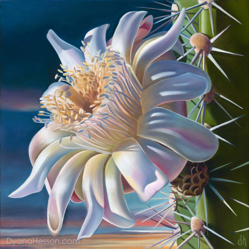 NEW! Arizona Pipe Dream - Organ Pipe Cactus Bloom at Dawn 15x15