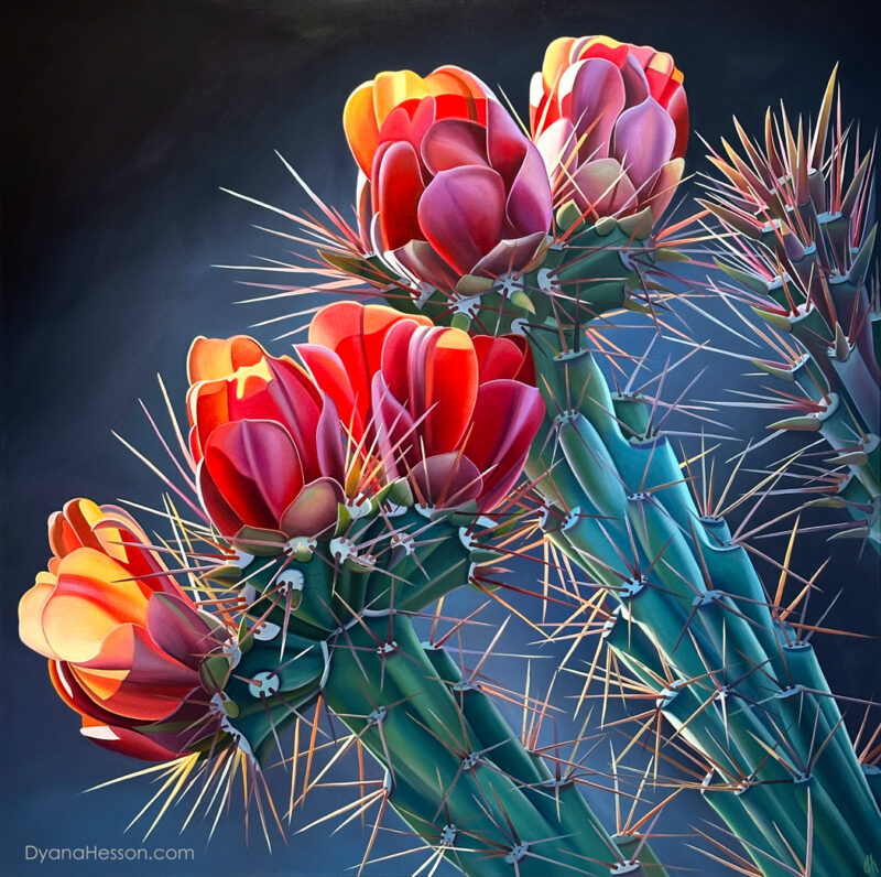 Skyrocketing Growth -  Garnet Cholla Blooms Near Queen Valley, AZ