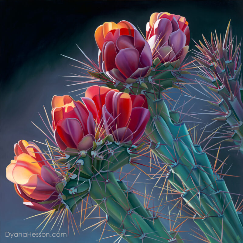 Skyrocketing Growth -  Garnet Cholla Blooms Near Queen Valley, AZ