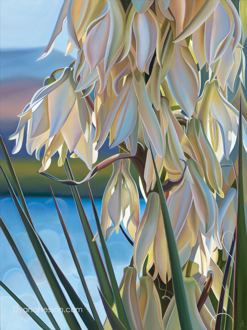 Shimmering Light - Sierra Madre Yucca, Patagonia Lake, AZ 47x35