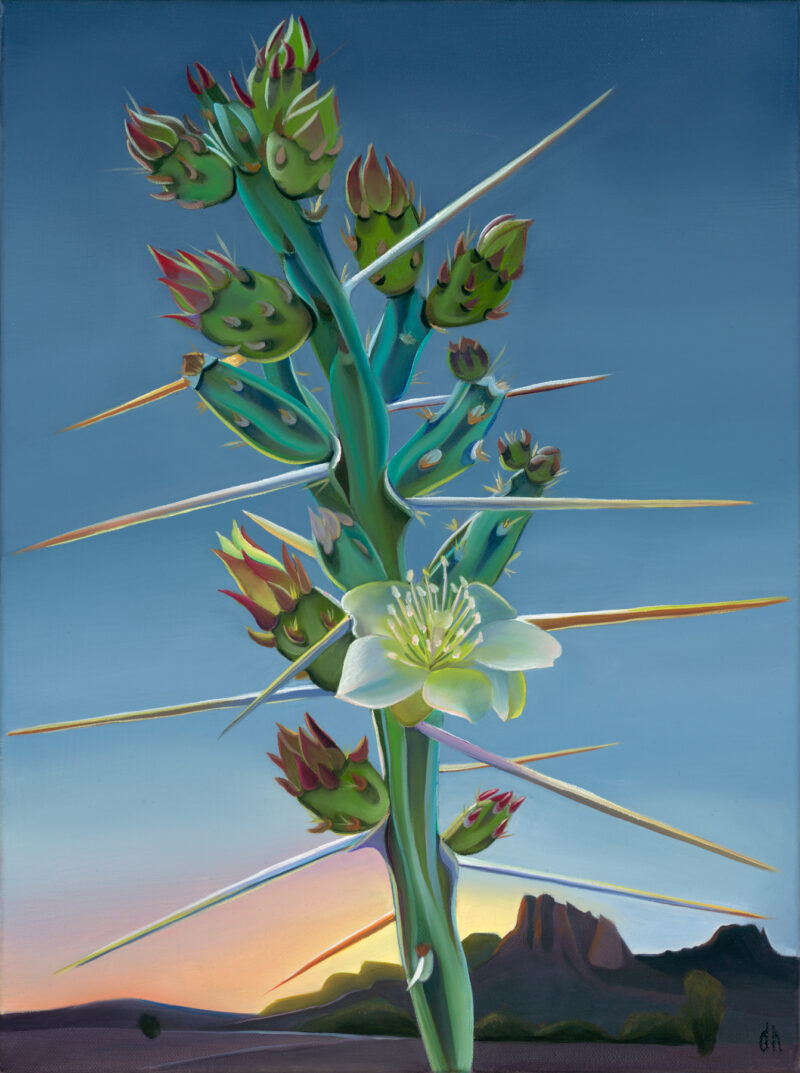Twilight Delight - Christmas Cholla, Superstition Wilderness RECENTLY SOLD