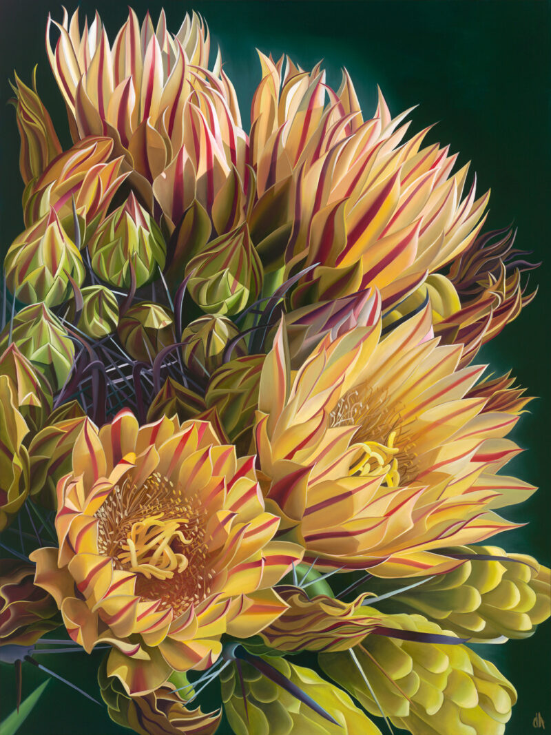 I Love Flowers. Don't you? Golden Barrel Cactus on the Mesa RECENTLY SOLD