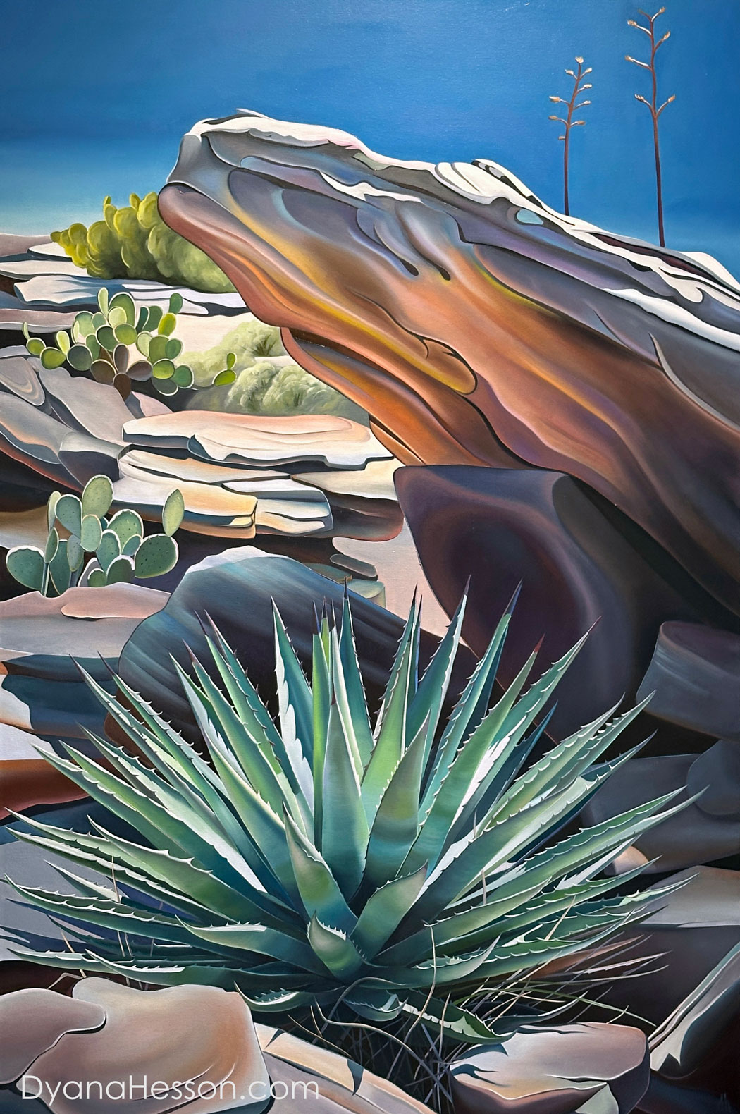 Shelter - Agave, Opuntia, and Inflorescence, Spanish Ruins, AZ RECENTLY SOLD