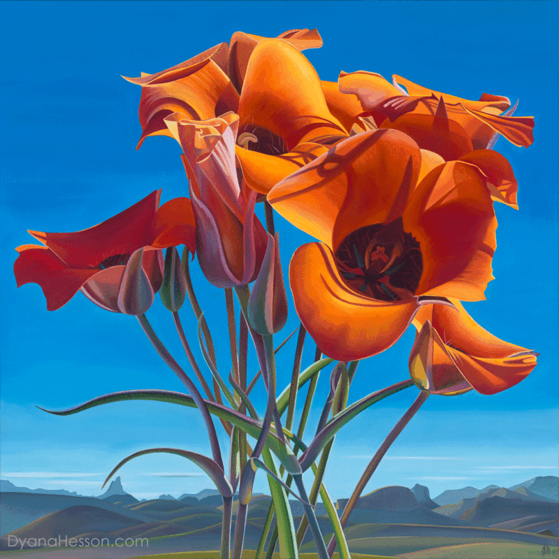 Hidden Treasure - Mariposa Lilies, Weavers Needle, Superstition Wilderness, AZ