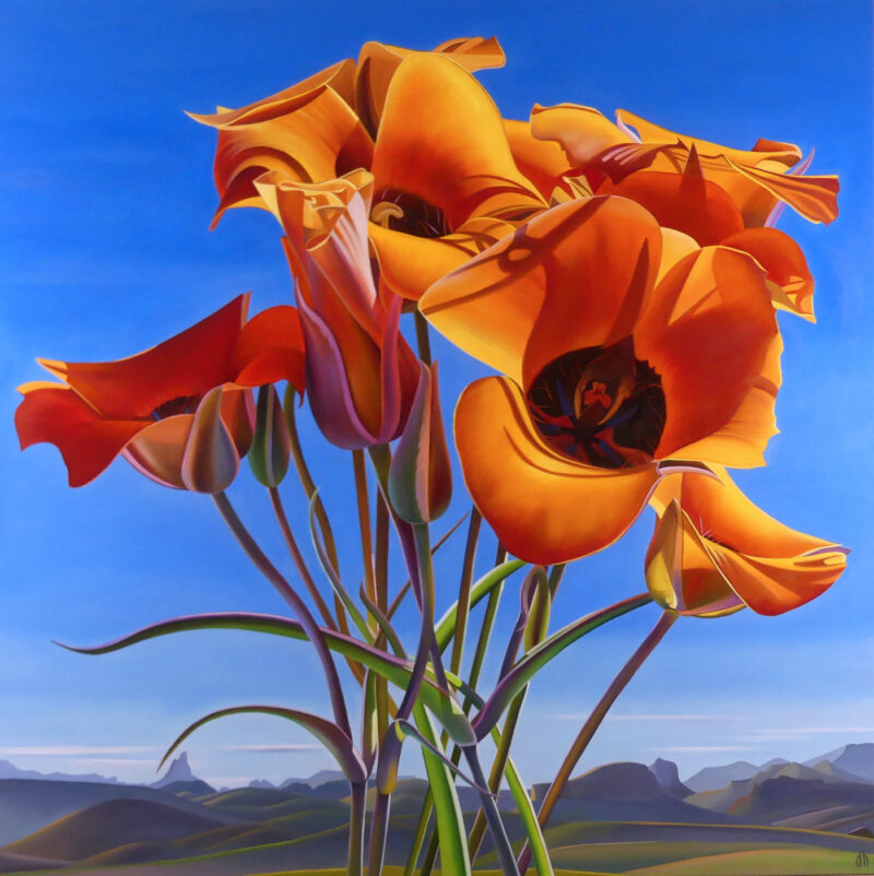 Hidden Treasure - Mariposa Lilies, Weavers Needle, Superstition Wilderness, AZ