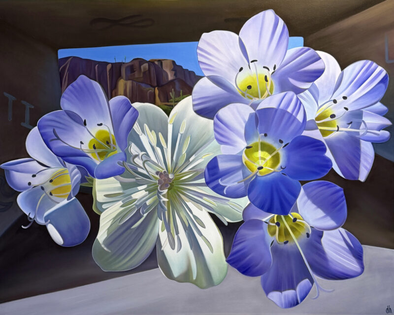 The Old Way - Creamcups and Gilia at Abandoned Overpass, Picketpost, AZ