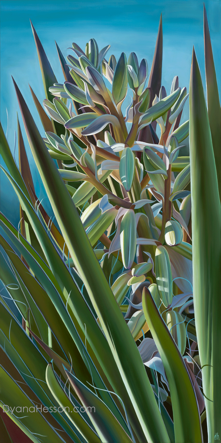 Going Up Banana Yucca - Mazatzal Mountains, AZ RECENTLY SOLD - Image 3