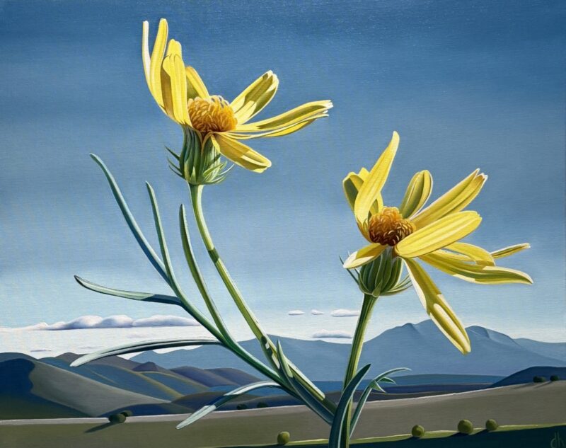 The Company You Keep - Threadleaf Ragwort and Mountains near Gisela, AZ