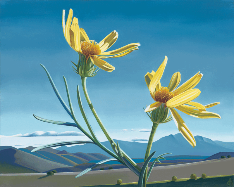 The Company You Keep - Threadleaf Ragwort and Mountains near Gisela, AZ RECENTLY SOLD
