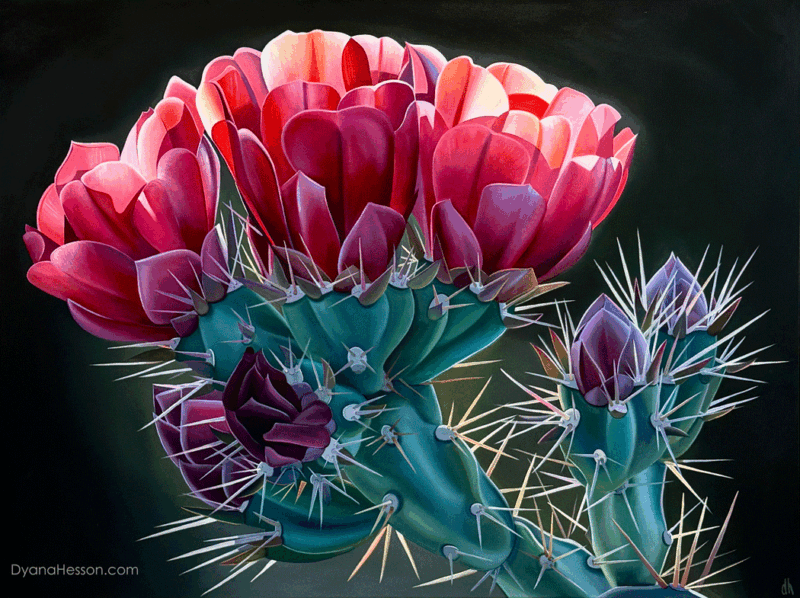 Last Light - Buckhorn Cholla, Superstition Mountains, AZ RECENTLY SOLD