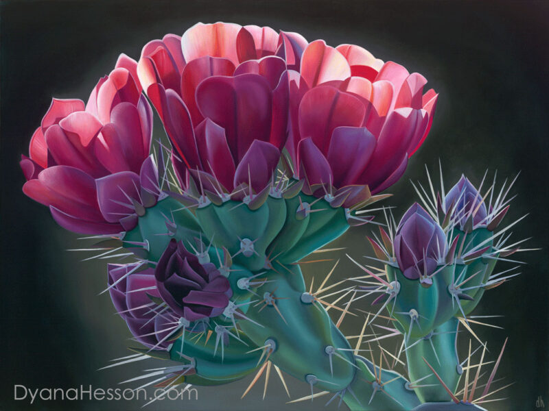 Last Light - Buckhorn Cholla, Superstition Mountains, AZ RECENTLY SOLD