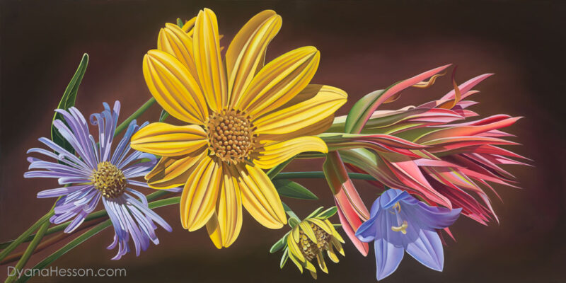 Manifest Witness -  Aster, Arrowleaf Balsamroot, Indian Paintbrush, Bellflower Cedar Creek, WY