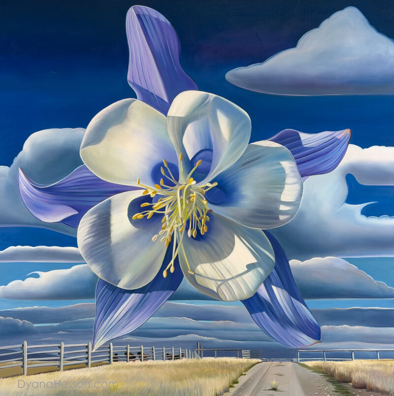 Flower Day -  Columbine and Bison Ranch, Cora, WY