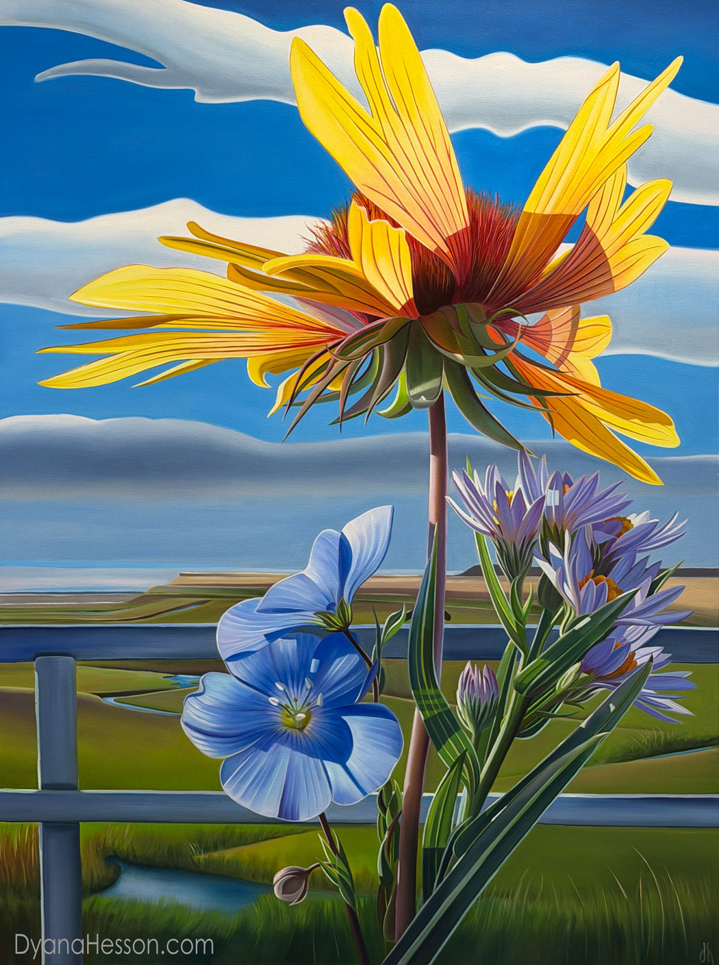 Summer in Wyoming - Blanket Flower, Alpine Flax and Aster, CL Bar Ranch, Cora, Wyoming
