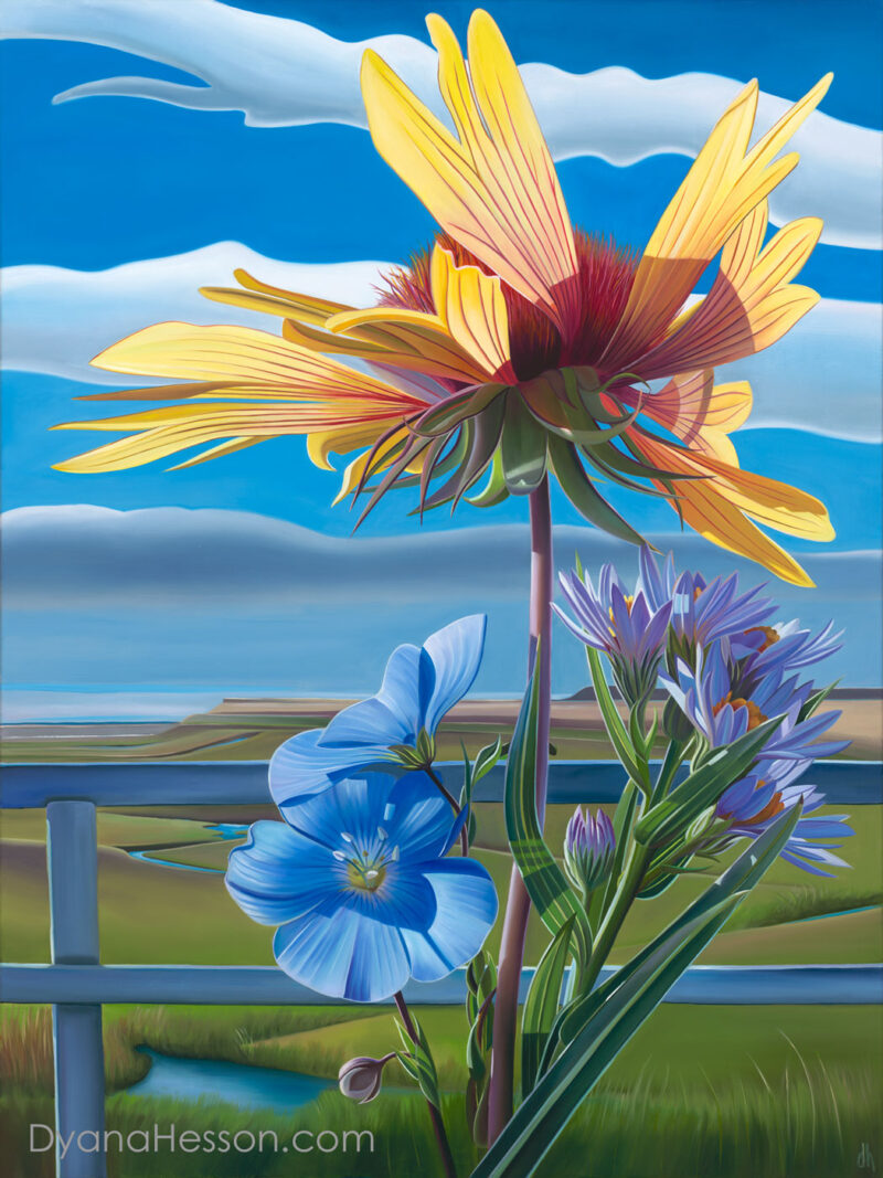 Summer in Wyoming - Blanket Flower, Alpine Flax and Aster, CL Bar Ranch, Cora, Wyoming