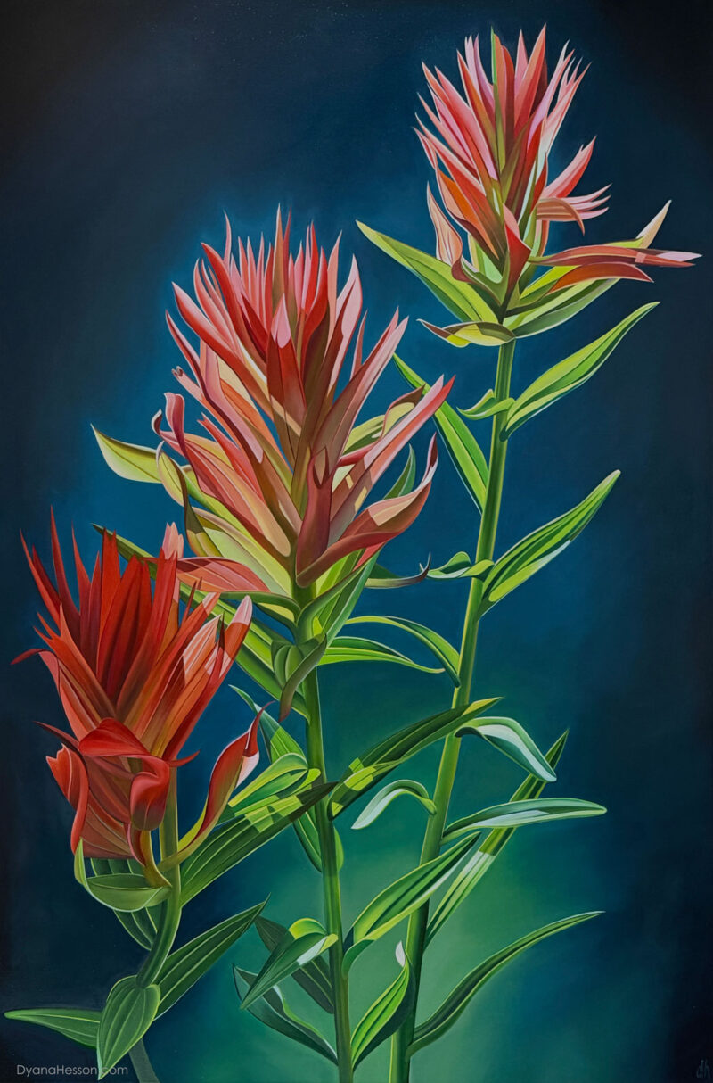Three Canyons, Indian Paintbrush - Bridger-Teton NF, WY