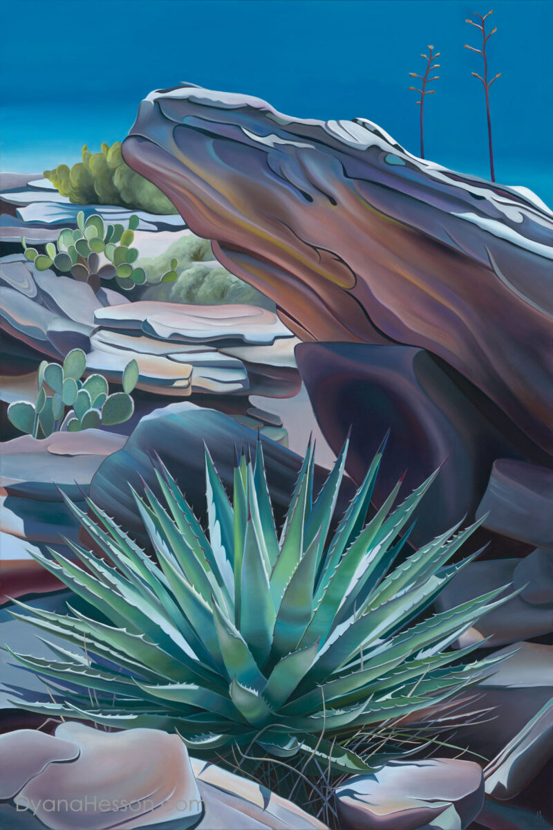 Shelter  Agave, Opuntia, and Inflorescence, Spanish Ruins, AZ 37x25