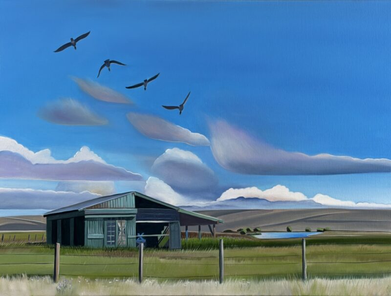 Duck, Duck, Goose - Homestead on Duck Creek, Cora, WY