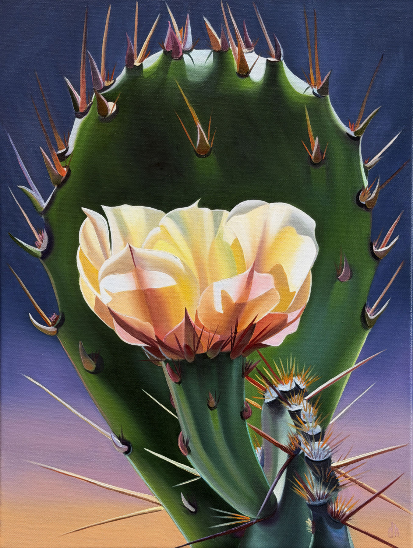 Hilltop Halo - Opuntia and Pad, Spanish Ruins, AZ - Image 2
