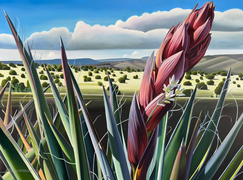 The Space In-between, Banana Yucca and  Texas False Garlic Blooms, Mazatzal Wilderness