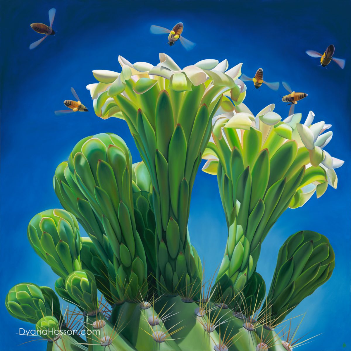 Chin Up Bee Happy - Saguaro and Sky 38x38
