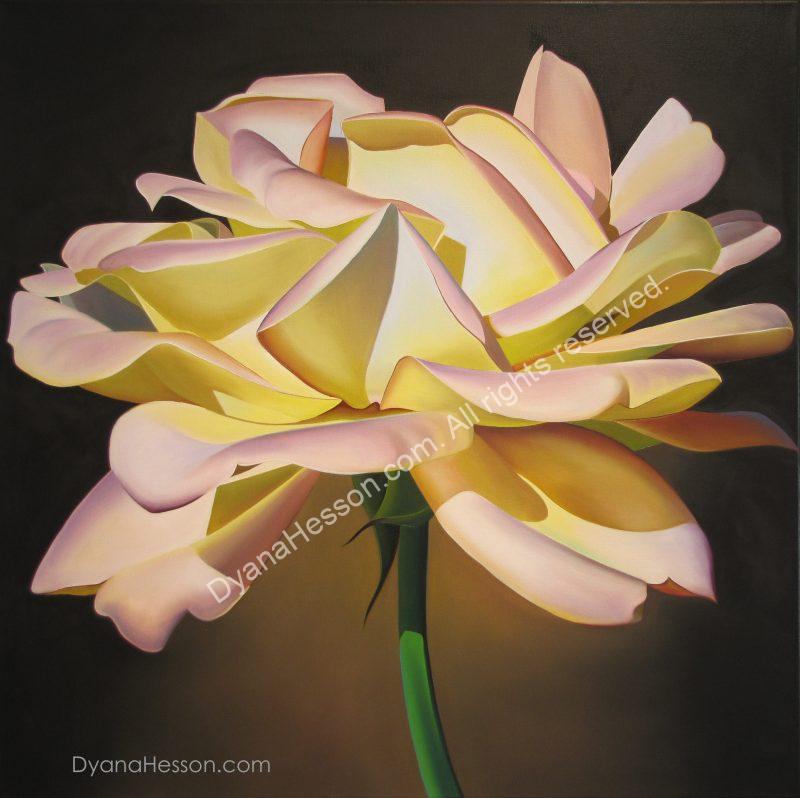Arizona Grown - Rose SOLD