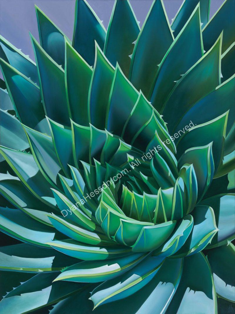 Santa Barbara Swirl - Symmetrical Aloe SOLD