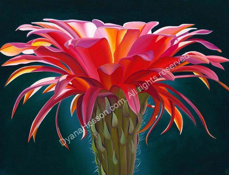 Rosy Glow SOLD