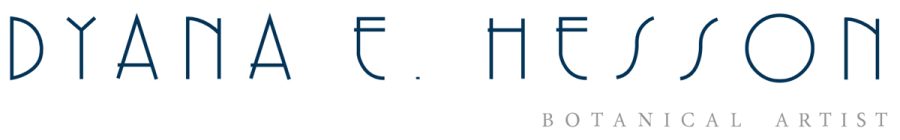 Dyana-Hesson-logo-1200
